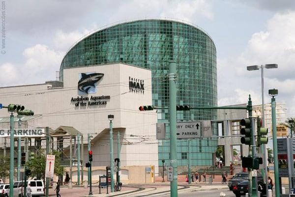 Master Carpet Cleaner