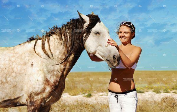 Peace of Mind Animals