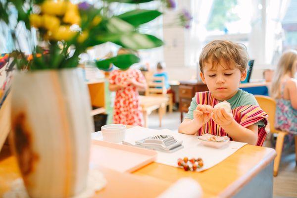 Sunny Hollow Montessori