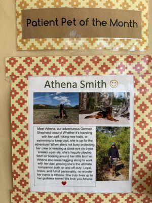 Southeast Veterinary Oncology &Internal Medicine - SEVO-Med (Jacksonville)