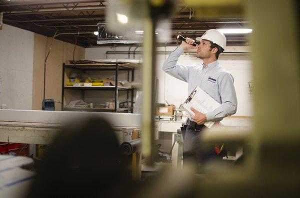 Catseye Pest Control