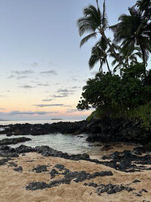 Elite Taxi and Tours