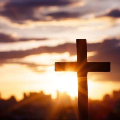 All in One Solutions