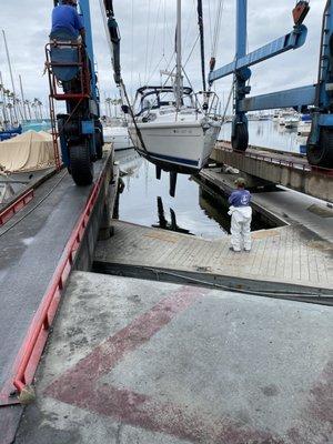 Pacific Marine Surveyors