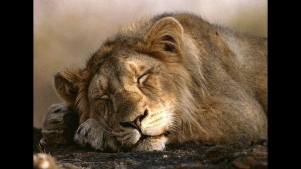 Dave Tall - San Juan Financial