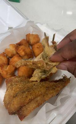 More Than Just Shark Bite