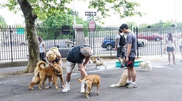Sherry Park Dog Run
