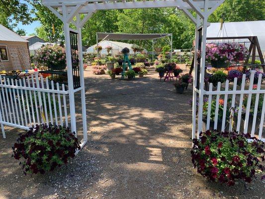 Pete’s Greenhouses