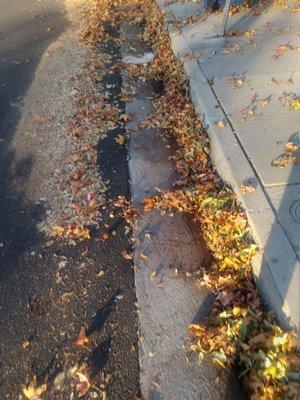 Hamlin Street Elementary School