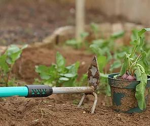 Delgado Landscaping and Design