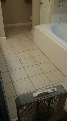 Birddog Flooring Design