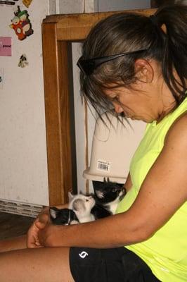 STAY!cation Pet Sitters