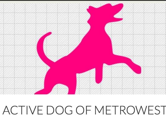 Active Dog Walking of Metrowest