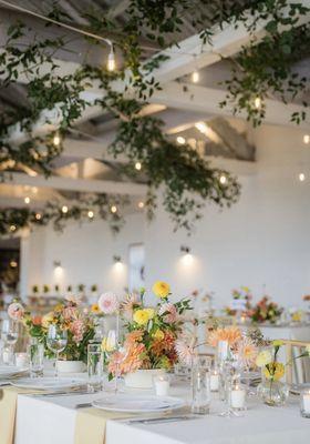 Molly Oliver Flowers