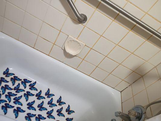 Amanda's Cleaning Services