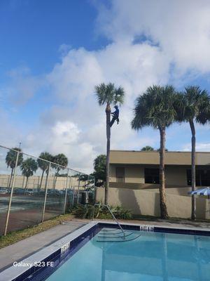 Alpopa Gardenes Services