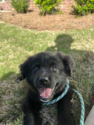 Humane Society of York County