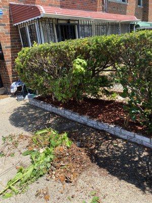 True Heart Construction And Project Management