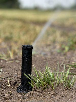 Perfection Landscaping and Design