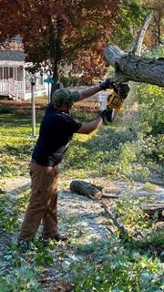 Green Machine Tree Stump And More