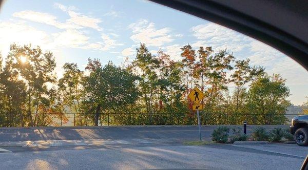 Homewood Bagel Company