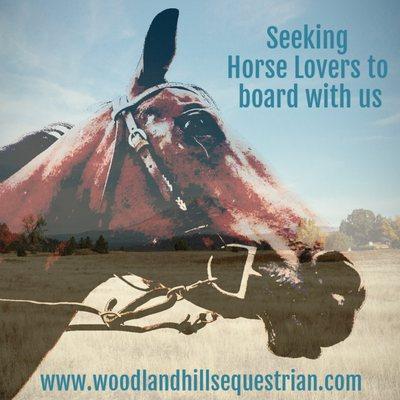 Woodland Hills Equestrian Center