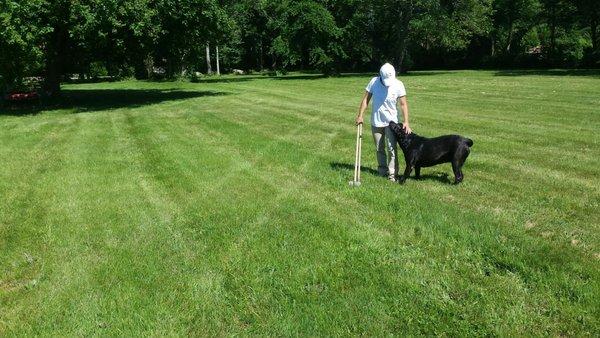 Poop Scoop Service RI, MA. Dog Logs RI - Pet Waste Removal