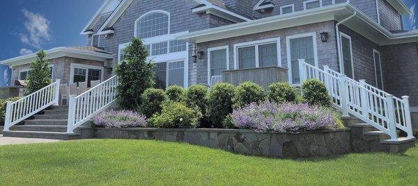 Dragonfly Landscape Design