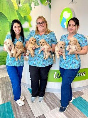 Stay golden #happythrusday