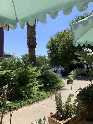 View from La Taquiza Patio