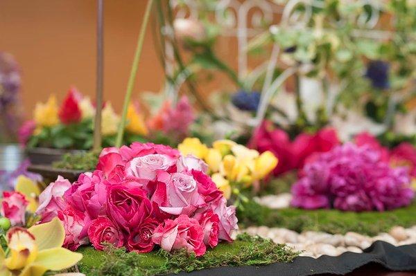 Purple Petals Lakewood