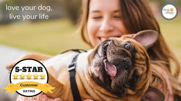Dog Days Daycare & Boarding - Vandalia