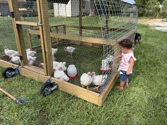 McDonough Construction Services