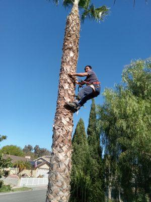 Castro Brothers Landscaping