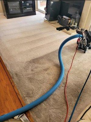 My Carpet Cleaning