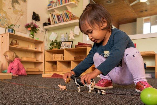 Montessori of Alameda - 21st Century School