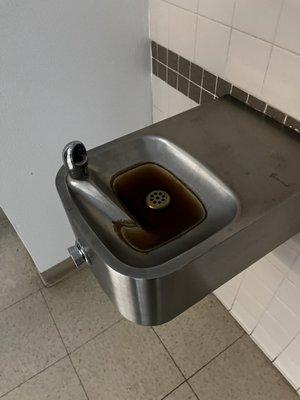 The water that came out of the drinking fountain
