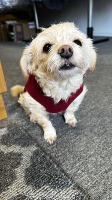 Lucas Valley Cleaners