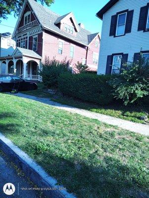 The People Foundation