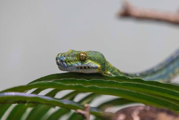Staten Island Zoo