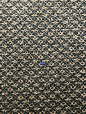 Broken blue fake fingernail found on floor next to dog hair