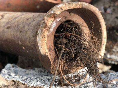 LCVL Excavation & Plumbing