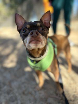 Silver Lake Reservoir