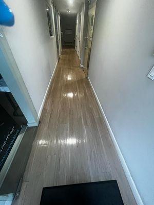 Profesional Cleaning Services