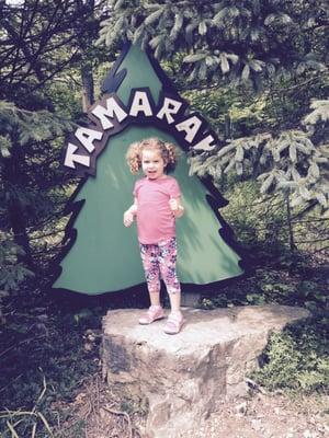 Tamarak Country School and Day Camp