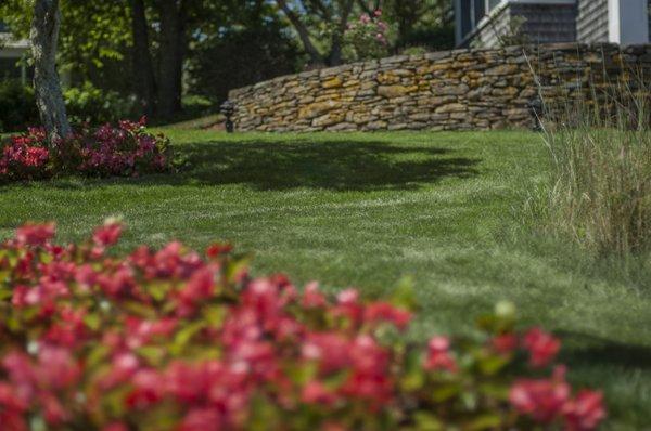 Lawn Care Focused & deliberate care, allowing your lawn to look & feel healthy, including fully-organic, phosphate- & pesticide-free options