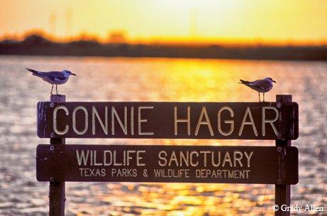 Connie Hagar Wildlife Sanctuary