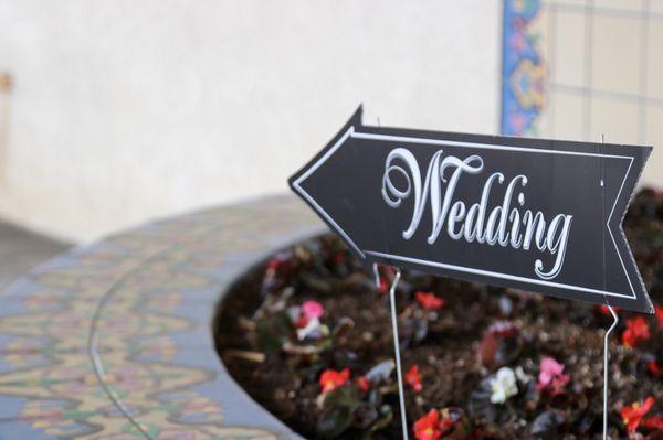 Forever Young Visuals