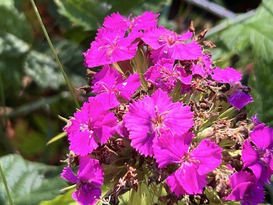 Mount St. Helens Forest Learning Center