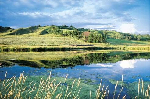 Loess Hills
Sioux City, IA